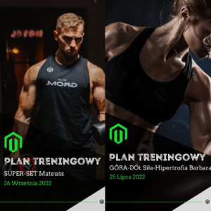 Prowadzenie treningowe online