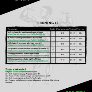Prowadzenie treningowe online